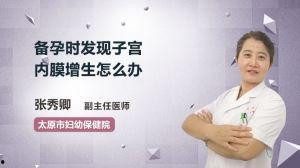 国产内膜在线视频网站,探索国内影视新天地